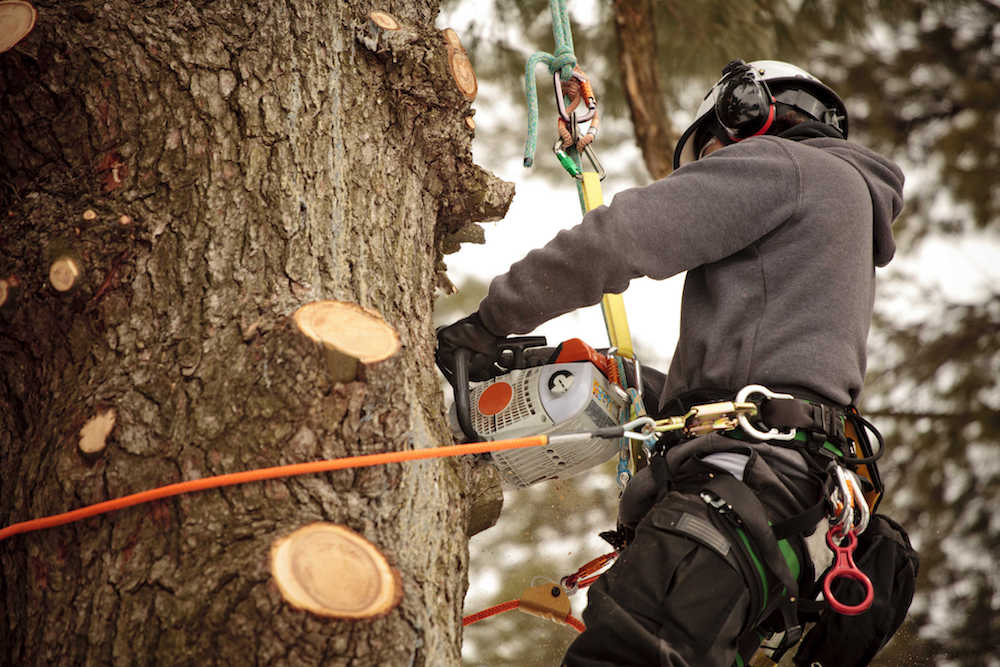 First Aid for Chainsaw Injury - First Aid Training Co-operative